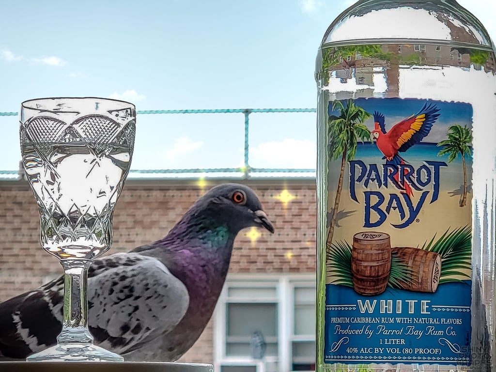 Parrot Bay White